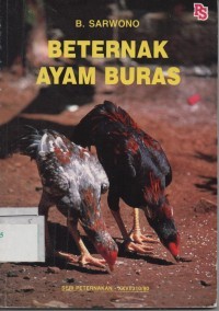 Beternak Ayam Buras