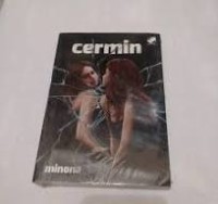 Cermin