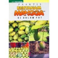 Praktis Bertanam Mangga di Dalam Pot